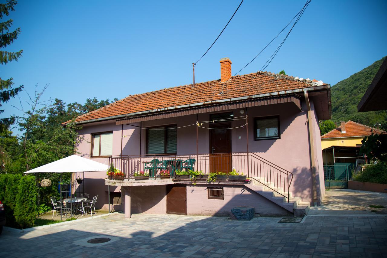 Apartments Cvetkovic Relax Niska Banja Esterno foto